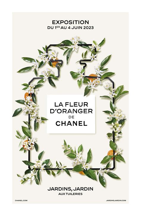 la fleur d'oranger de chanel